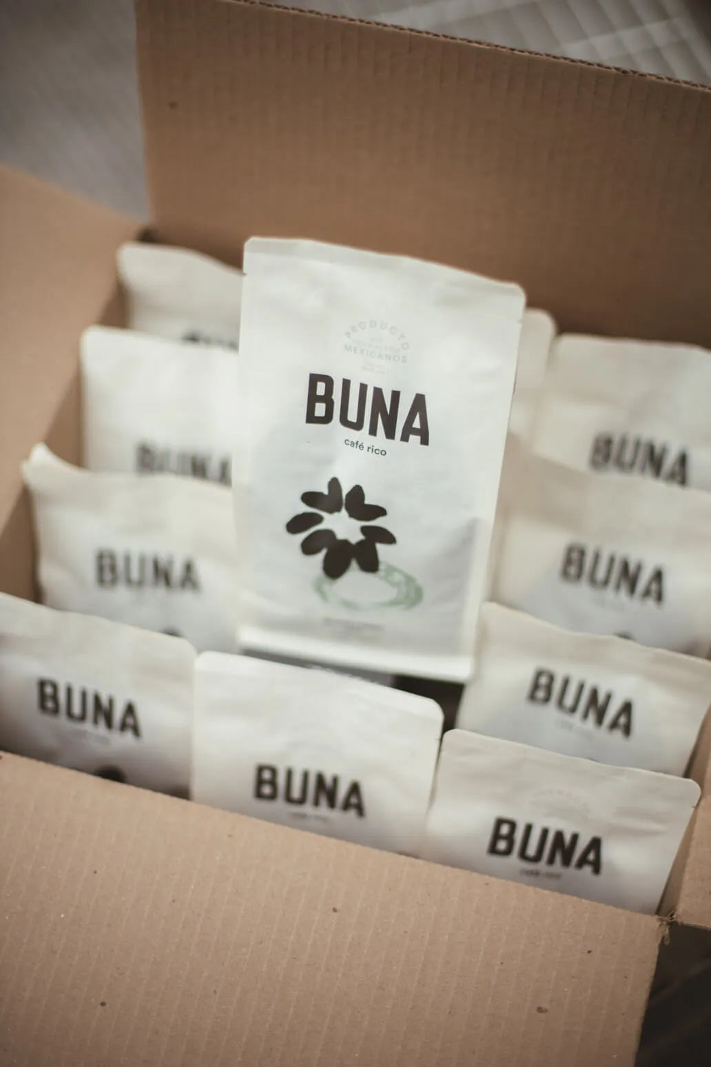 Caja de 12 Bolsas Café Guarumbo de 340grs